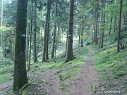 La fin de la boucle du Sentier du Maire et le retour par la partie basse